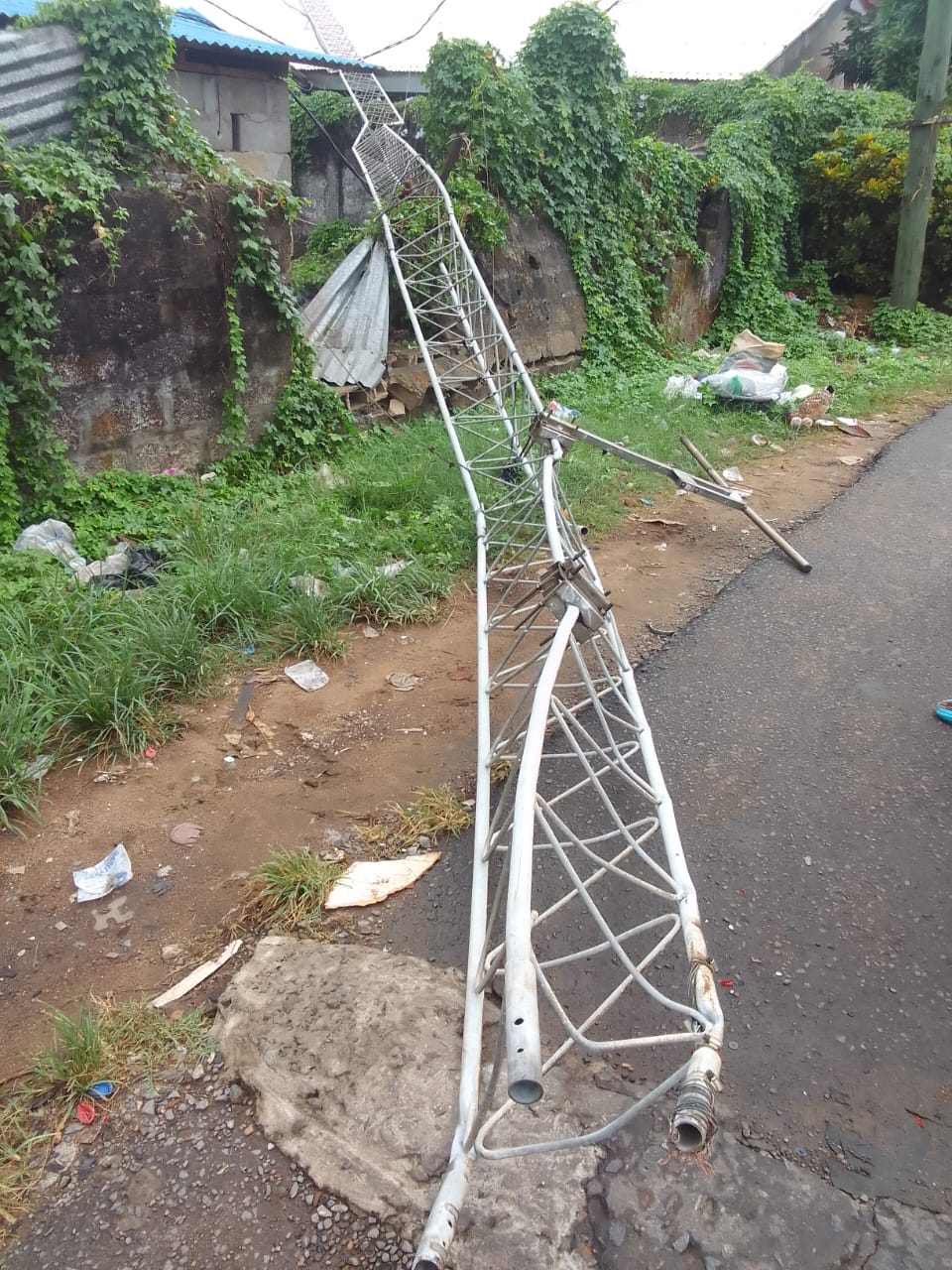 1896a17c-6823-4acc-983c-dcd8d81d6640